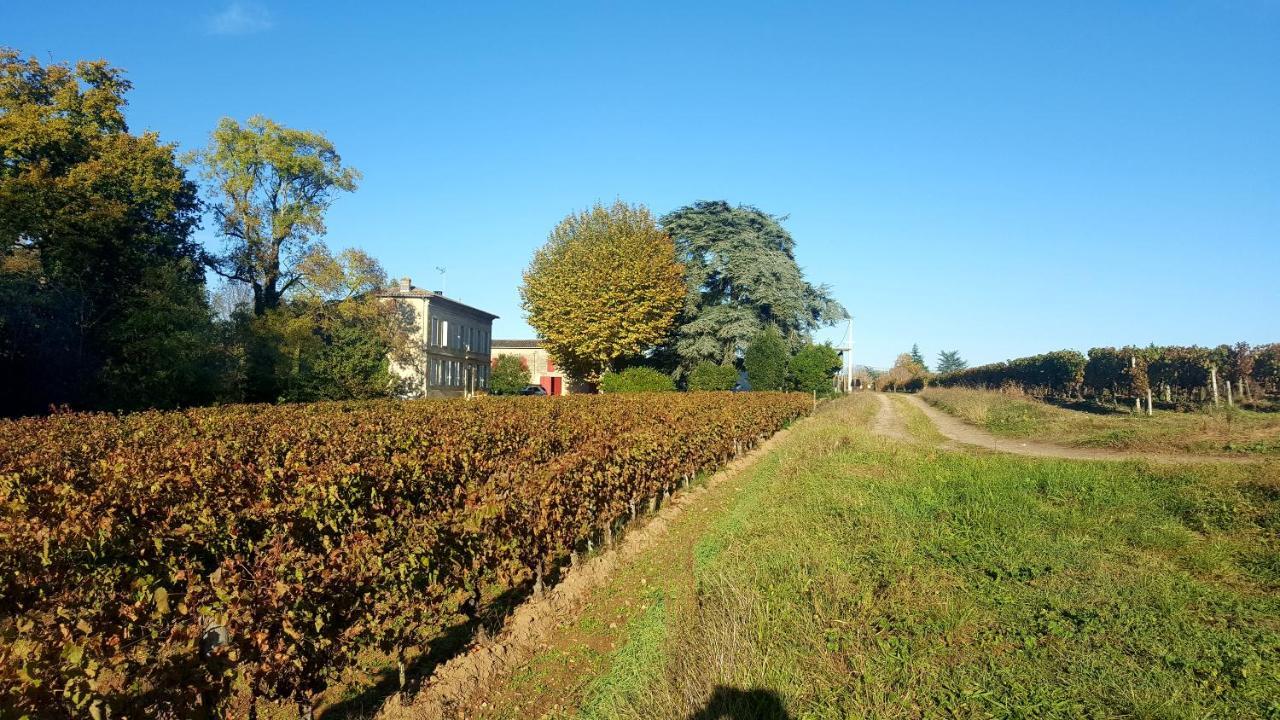 Chateau Cantelaube Saint-Émilion Eksteriør bilde